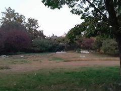 -丰台花园