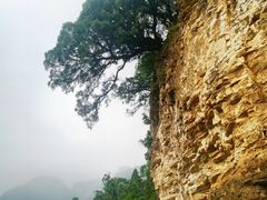 -北京上方山国家森林公园