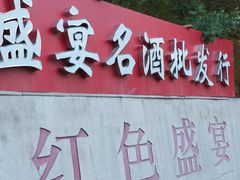 -红色盛宴酒楼(科丰桥店)