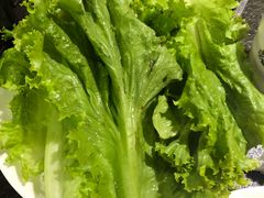 生菜-欢乐牧场海鲜烤肉自助(牡丹园店)