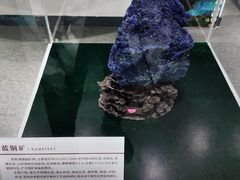 -中国第四纪冰川遗迹陈列馆