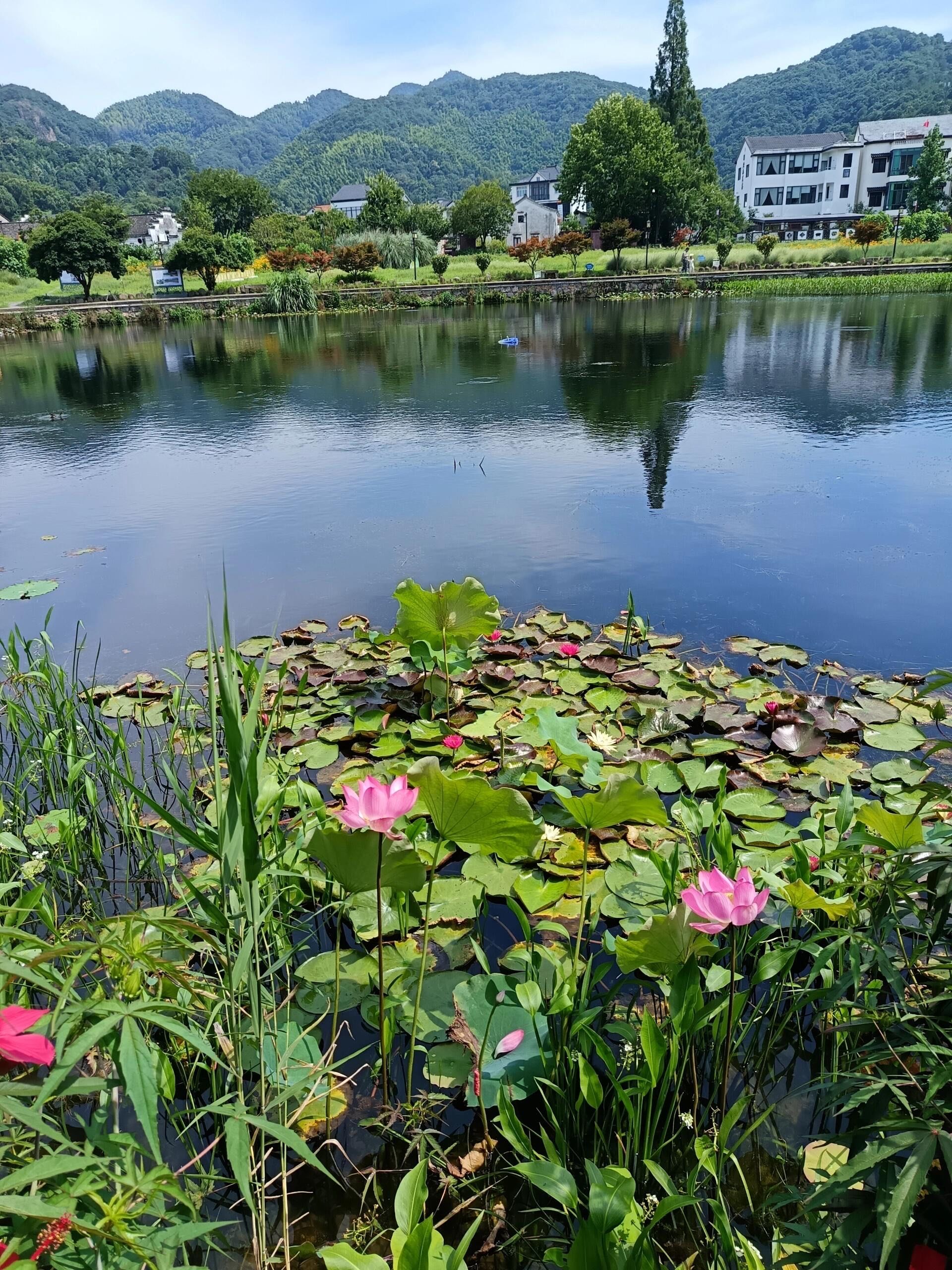 杭州还藏着一个小众没人的古镇7215萧山欢潭村