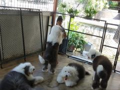 -TrueLove @ Neverland (Husky Cafe)