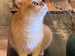 -Silly Dog Coffee(滨江店)