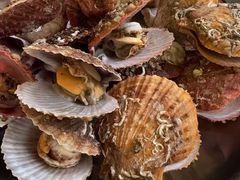 -宾朋海鲜特色美食餐厅·纯手工鲅鱼水饺(兴海路店)