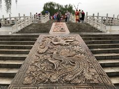 -神州牡丹园