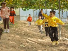 -海堤葡萄园中小学生研学基地