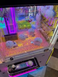-LuckyStar幸运星家庭娱乐中心(东莞国贸店)