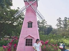 -南沙蒲洲花园