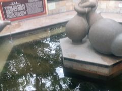-碧水湾温泉