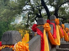 -宝通禅寺