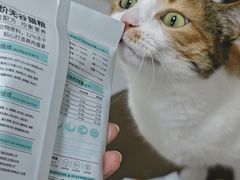 -东方体育中心(地铁站)