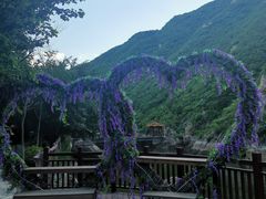 -灵溪风景区