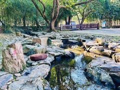 -兰亭风景区