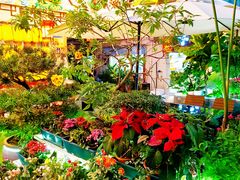 -山水茶艺馆·点心粤菜·30年老字号