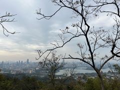 -紫金山山顶公园