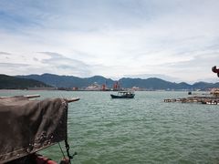-罗源湾8号渔排