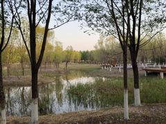 -东郊湿地公园