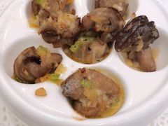 -小白桦西餐厅