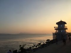 -福田红树林生态公园
