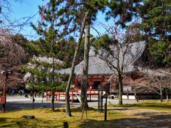 -醍醐寺