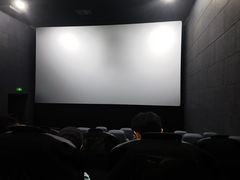 -SFC上影百联影城(大上海4DX店)