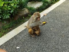 -姑婆山旅游区