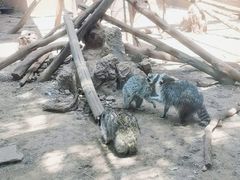 -昆明动物园