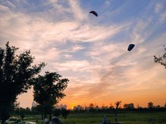 -汉长安城未央宫国家考古遗址公园