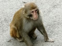 -黔灵山公园