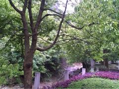 -宁波五龙潭景区