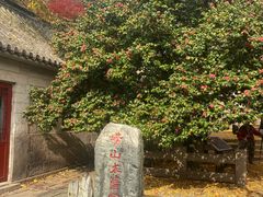 -青岛崂山太清宫