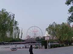 -天津水上公园
