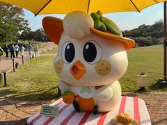 -济州森林小火车生态公园