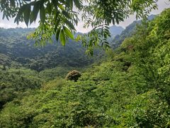 -龙窝子