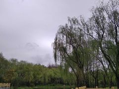-新江湾城公园
