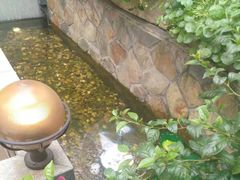 -外婆船宴餐厅·外婆喊你回家吃饭