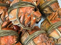 -朱胖子蟹行大闸蟹(定安里店)