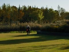 -养云安缦吧THE BAR