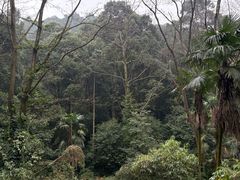 -凤栖山