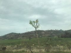 -汕尾风车岛