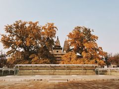 -北京石刻艺术博物馆(五塔寺)