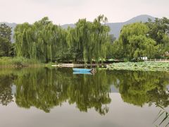 -北京植物园南门售票处