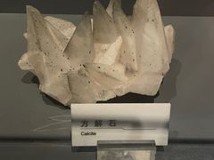 -重庆自然博物馆(新馆)