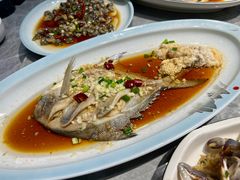 鲳鱼-大家发海鲜城夜排档(华山中路店)