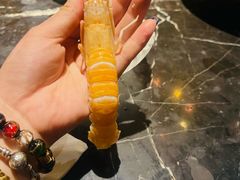-半岛翡丽海鲜自助餐厅(观风亭店)
