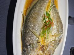-高佳庄·海鲜酒楼(东港店)