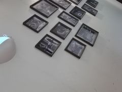 -丽华园(青少年宫店)