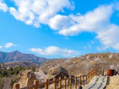 -白水寺森林公园
