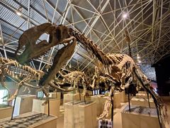 -世界恐龙谷景区